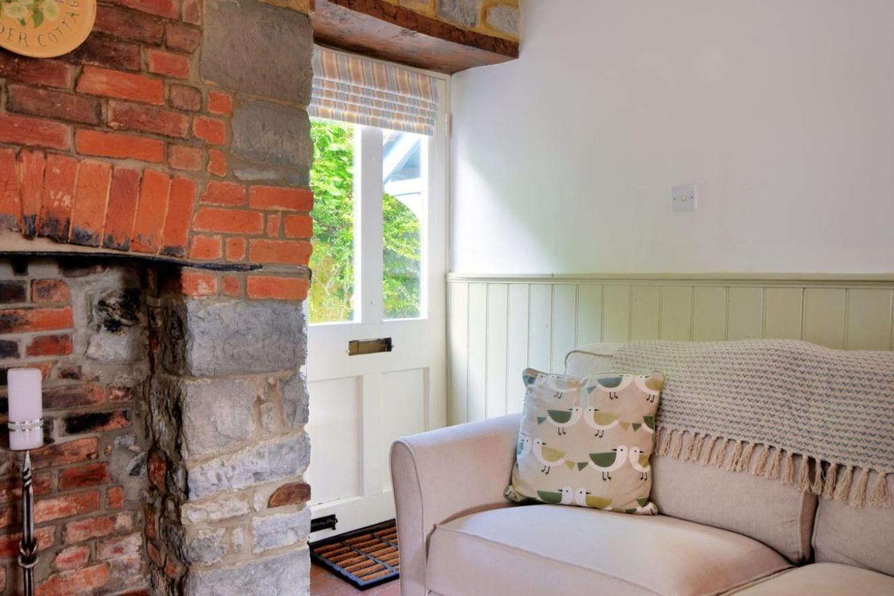 Lavender Cottage ليم ريجيس المظهر الخارجي الصورة